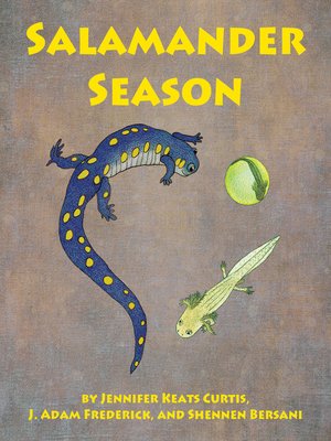 cover image of Salamander Season